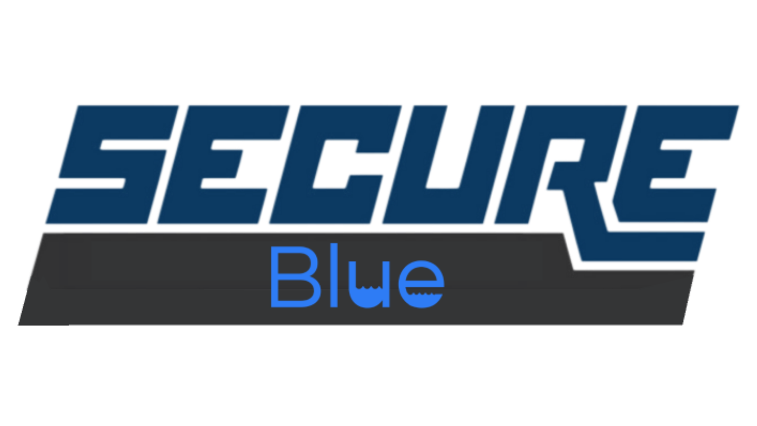 SECURE Blue